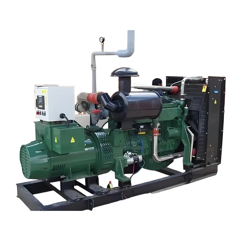 100 kW biogasgenerator voor de mijne 100 kW biogasgenerator voor de mijne