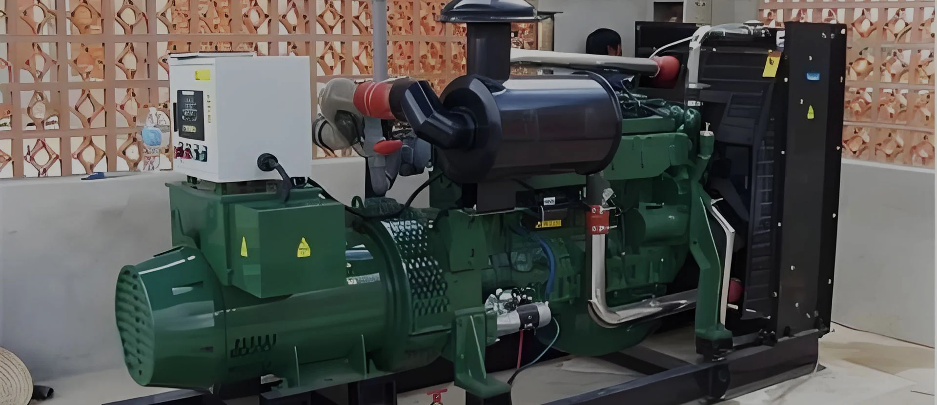 Fabrikant van biogasgenerator