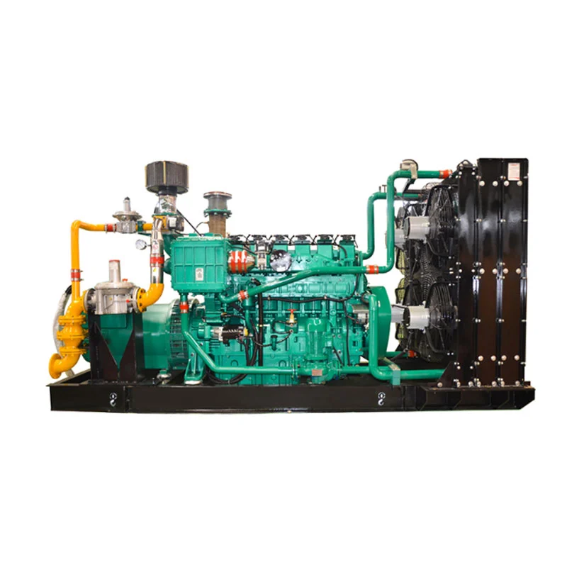 Stabiele PLC-aardgasgeneratorset